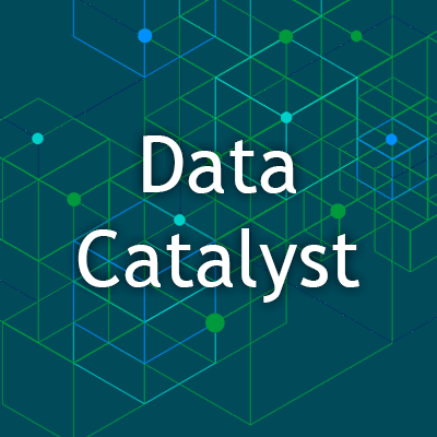 Data Catalyst BSolutions Group | Qlik